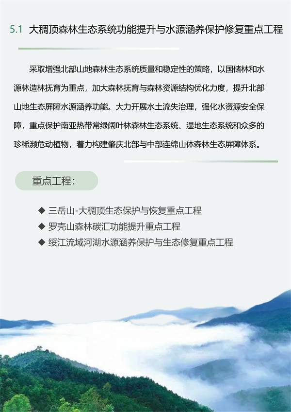 文章详情图片