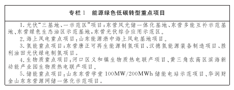 东营市推进碳达峰碳中和工作实施方案