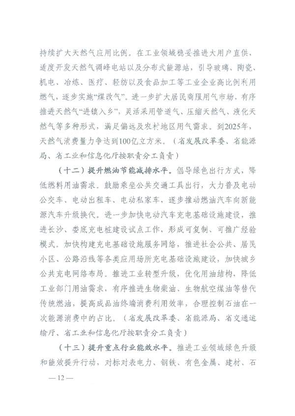 关于印发《湖南省能源领域大气污染防治攻坚实施方案》的通知_Page9.jpg 文章详情图片