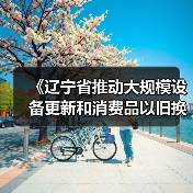 《辽宁省推动大规模设备更新和消费品以旧换新实施方案》发布！（图3）