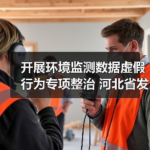 开展环境监测数据虚假行为专项整治 河北省发布检验检测领域综合治理行动方案（图3）