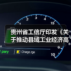 贵州省工信厅印发《关于推动县域工业经济高质量发展实施方案》(图4) 贵州省工信厅印发《关于推动县域工业经济高质量发展实施方案》(图4)
