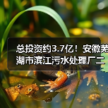 总投资约3.7亿！安徽芜湖市滨江污水处理厂二期工程特许经营项目二次招标（图2）