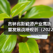 吉林省新能源产业高质量发展战略规划（2022—2030年）（图1）