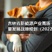 吉林省新能源产业高质量发展战略规划（2022—2030年）（图2）