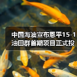 中国海油宣布恩平15-1油田群首期项目正式投产!配套实施我国首套海上碳封存工程!(图1) 中国海油宣布恩平15-1油田群首期项目正式投产!配套实施我国首套海上碳封存工程!(图1)