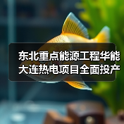 东北重点能源工程华能大连热电项目全面投产 可实现年减碳14万吨(图1) 东北重点能源工程华能大连热电项目全面投产 可实现年减碳14万吨(图1)