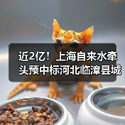 近2亿！上海自来水牵头预中标河北临漳县城雨污水管网提升工程设计采购施工总承包（EPC）（图2）