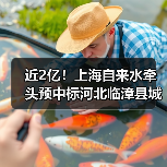 近2亿！上海自来水牵头预中标河北临漳县城雨污水管网提升工程设计采购施工总承包（EPC）（图4）