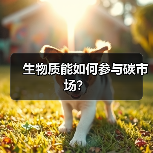 生物质能如何参与碳市场?(图3) 生物质能如何参与碳市场?(图3)