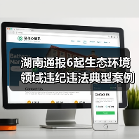 湖南通报6起生态环境领域违纪违法典型案例（图4）