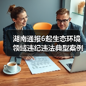 湖南通报6起生态环境领域违纪违法典型案例（图2）