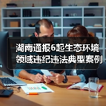 湖南通报6起生态环境领域违纪违法典型案例（图3）