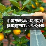 东阳市污水处理厂项目中标全攻略