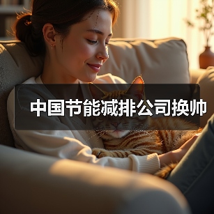 中国节能减排公司换帅（图4）