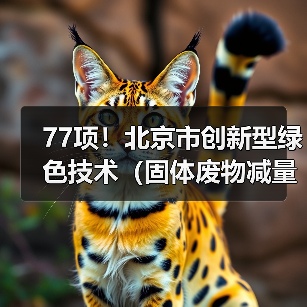 77项！北京市创新型绿色技术（固体废物减量化及资源化、塑料污染防治、替代能源生产、减碳固碳等12个领域）推荐目录（2022年版）（图3）