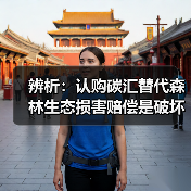 辨析:认购碳汇替代森林生态损害赔偿是破坏森林的“通行证”吗?(图3) 辨析:认购碳汇替代森林生态损害赔偿是破坏森林的“通行证”吗?(图3)