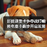 新能源重卡争夺战打响 换电重卡跑步开启发展元年（图4）