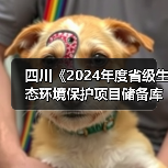 四川《2024年度省级生态环境保护项目储备库清单（第二批）》公布！（图1）
