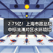 2.75亿！上海市政总院中标洮滆片区水环境综合整治工程2024年工程总承包EPC一体化（图4）