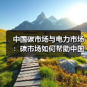 中国碳市场与电力市场:碳市场如何帮助中国有效减排(图2) 中国碳市场与电力市场:碳市场如何帮助中国有效减排(图2)