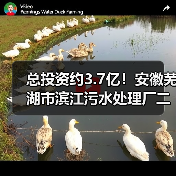 总投资约3.7亿！安徽芜湖市滨江污水处理厂二期工程特许经营项目二次招标（图3）