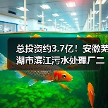 总投资约3.7亿！安徽芜湖市滨江污水处理厂二期工程特许经营项目二次招标（图1）
