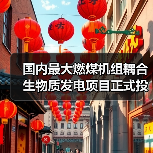 国内最大燃煤机组耦合生物质发电项目正式投产 每年可减排二氧化碳27万吨（图1）