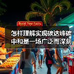 怎样理解实现碳达峰碳中和是一场广泛而深刻的经济社会系统性变革？（图1）