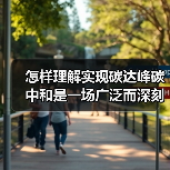 怎样理解实现碳达峰碳中和是一场广泛而深刻的经济社会系统性变革？（图2）