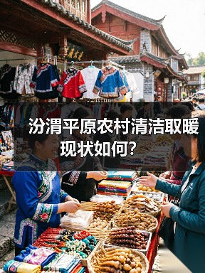 汾渭平原农村清洁取暖现状如何?(图2) 汾渭平原农村清洁取暖现状如何?(图2)