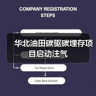 华北油田碳驱碳埋存项目启动注气（图2）