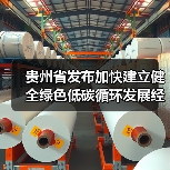 贵州省发布加快建立健全绿色低碳循环发展经济体系的实施意见（图2）