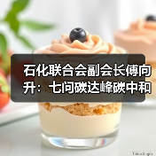 石化联合会副会长傅向升：七问碳达峰碳中和（图2）