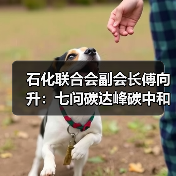 石化联合会副会长傅向升：七问碳达峰碳中和（图1）