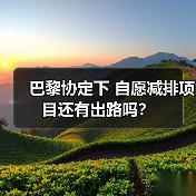 巴黎协定下 自愿减排项目还有出路吗？（图2）