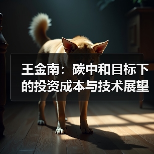 王金南：碳中和目标下的投资成本与技术展望（图2）