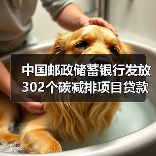 中国邮政储蓄银行发放302个碳减排项目贷款(图3) 中国邮政储蓄银行发放302个碳减排项目贷款(图3)