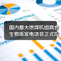 国内最大燃煤机组耦合生物质发电项目正式投产 每年可减排二氧化碳27万吨（图2）