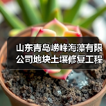 山东青岛崂峰海藻有限公司地块土壤修复工程预中标公示（图3）