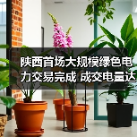 陕西首场大规模绿色电力交易完成 成交电量达1亿千瓦时！