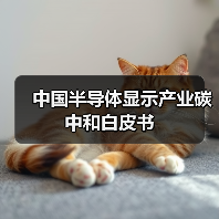 中国半导体显示产业碳中和白皮书(图3) 中国半导体显示产业碳中和白皮书(图3)
