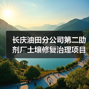 长庆油田分公司第二助剂厂土壤修复治理项目EPC总承包招标！（图4）