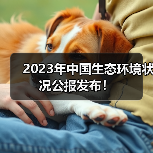 2023年中国生态环境状况公报发布！（图1）