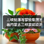 三峡能源与蒙能集团签署内蒙古三峡蒙能能源有限公司合资协议（图2）