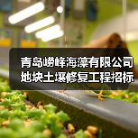 青岛崂峰海藻有限公司地块土壤修复工程招标!(图2) 青岛崂峰海藻有限公司地块土壤修复工程招标!(图2)
