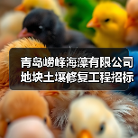 青岛崂峰海藻有限公司地块土壤修复工程招标!(图3) 青岛崂峰海藻有限公司地块土壤修复工程招标!(图3)