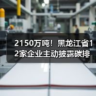 2150万吨!黑龙江省12家企业主动披露碳排放信息(图2) 2150万吨!黑龙江省12家企业主动披露碳排放信息(图2)