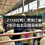 2150万吨!黑龙江省12家企业主动披露碳排放信息(图4) 2150万吨!黑龙江省12家企业主动披露碳排放信息(图4)