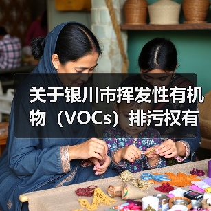 关于银川市挥发性有机物（VOCs）排污权有偿使用费和交易价格有关事项的通知（图4）